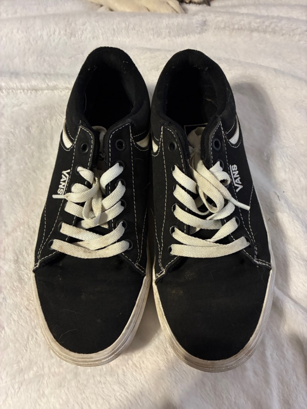 Vans Black and White Low-Top Skate Sneakers
